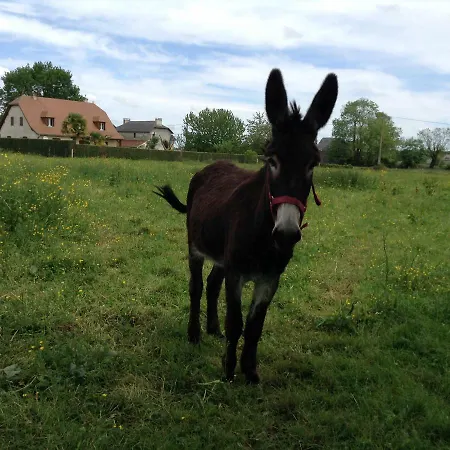 La Ferme Du Daunat *