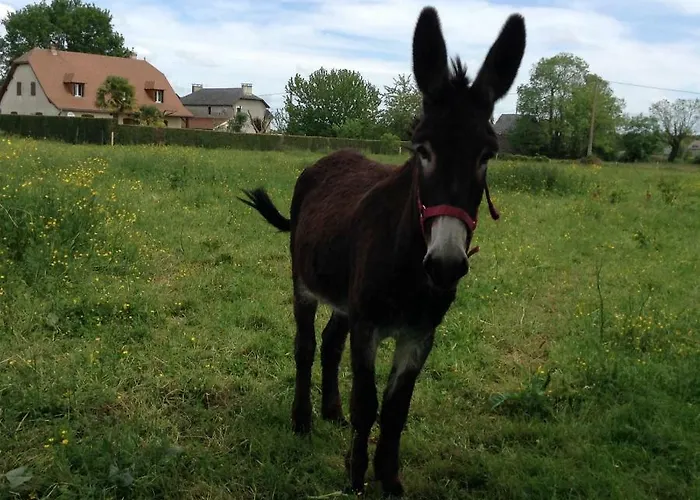 La Ferme Du Daunat *